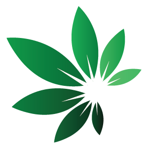 10% off for your order at Toki pipes Coupons