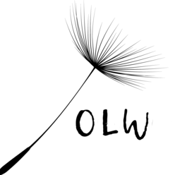 One Lucky Wish Coupons One Lucky Wish Coupons and Promo Code