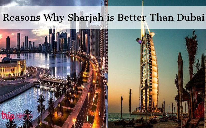 4 Reasons Why Sharjah Is Better Than Dubai?