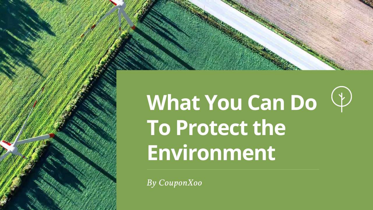 What You Can Do To Protect the Environment